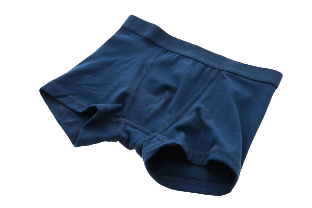 underwear_img
